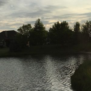 Meet your Posher, Sam